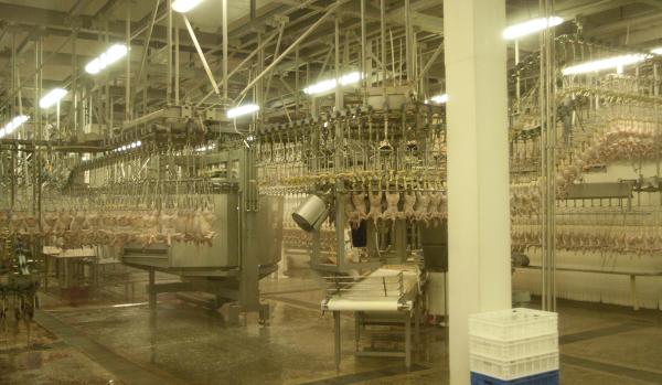 Poultry Processing Plant