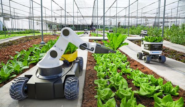 Agriculture robotic and autonomous car working in smart farm, Future 5G technology with smart agriculture farming concept